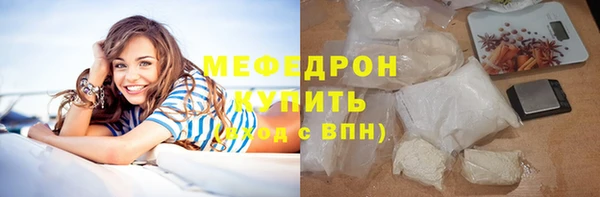 гидра Вязьма