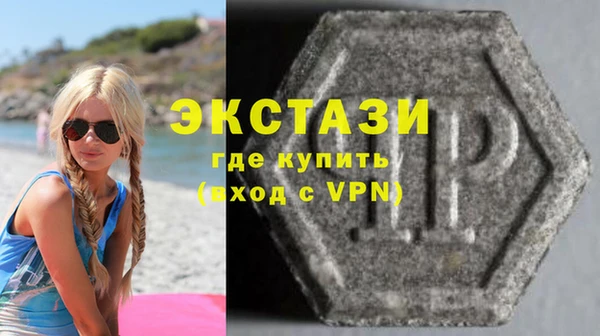 гидра Вязьма