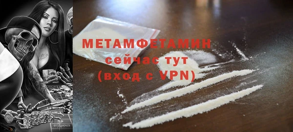 гидра Вязьма