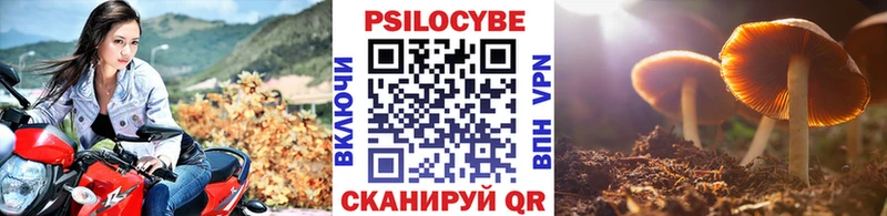 Галлюциногенные грибы прущие грибы мега Дятьково