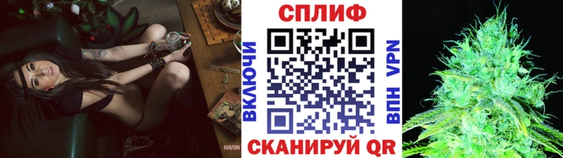 Канабис MAZAR  как найти наркотики  Дятьково 